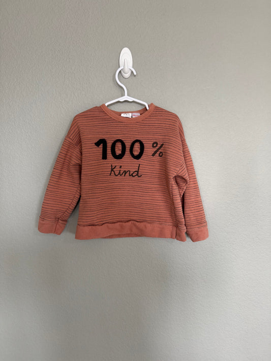 Zara 100% Kind Sweater