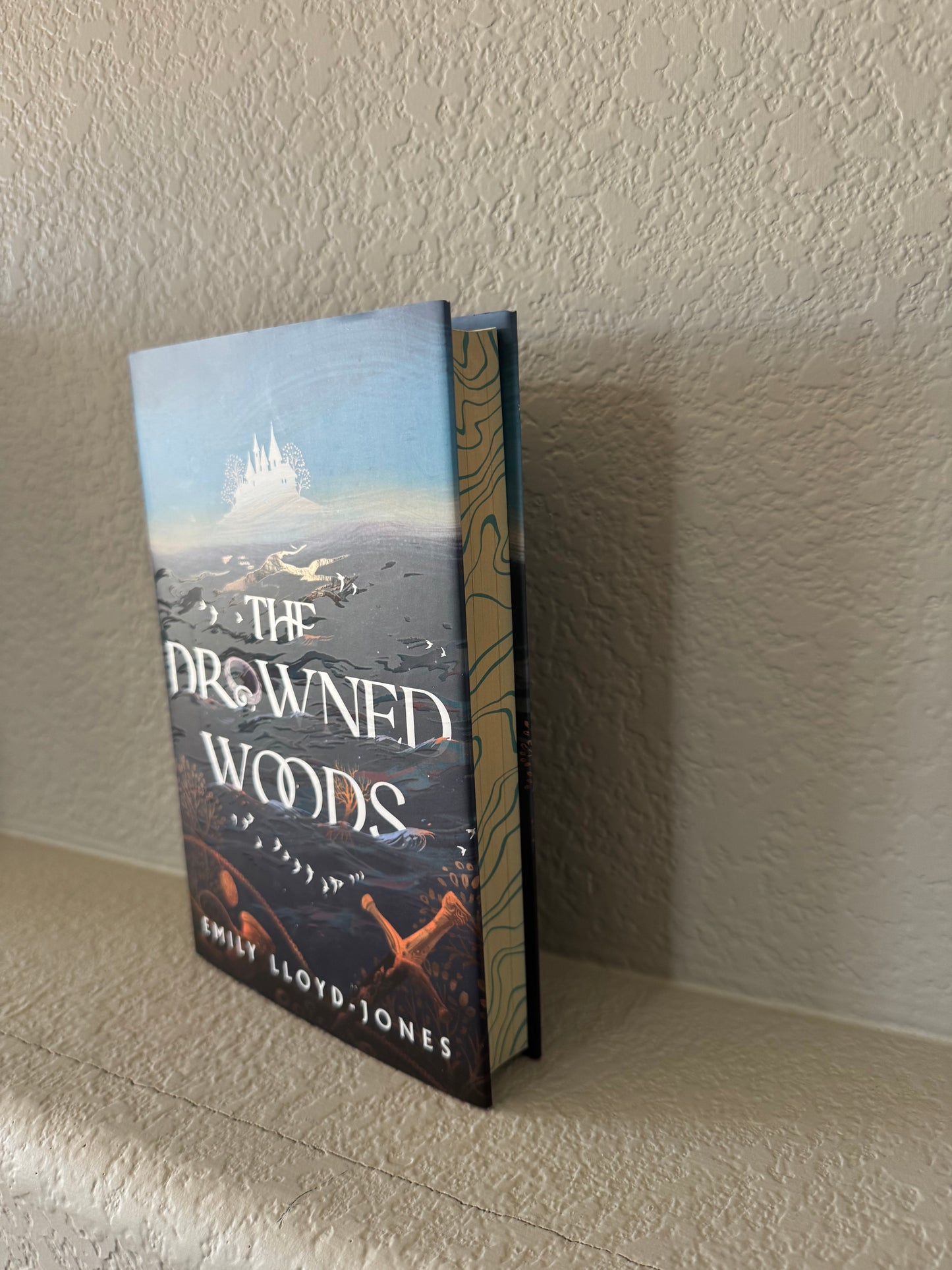 Illumicrate The Drowned Woods by Emily LLoyd-Jones